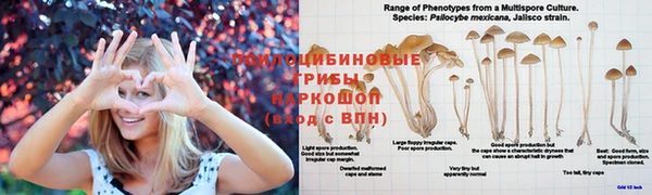 прущий лед Орехово-Зуево