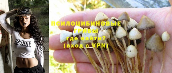 герыч Абинск
